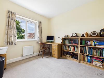 Picture 23
